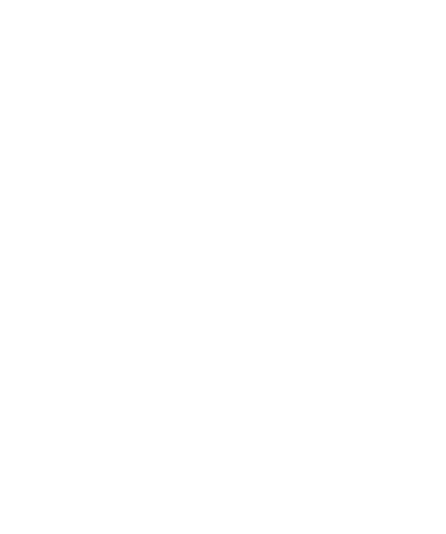 Party bus rental